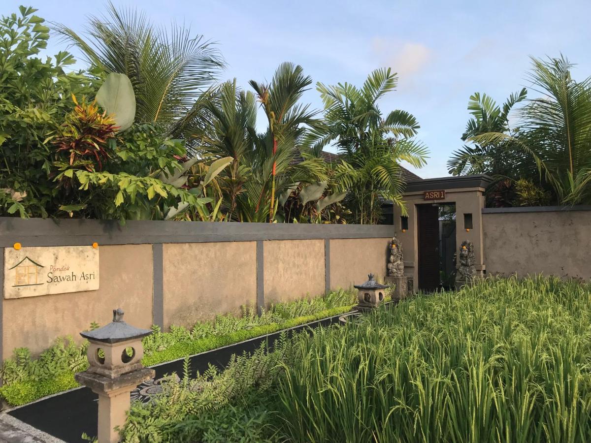 Pondok Sawah Asri Ubud Zewnętrze zdjęcie
